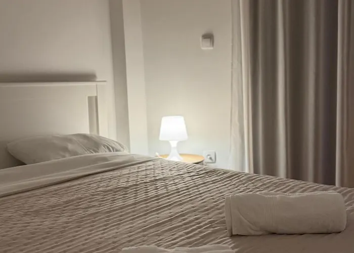 Petrovic * 브라네